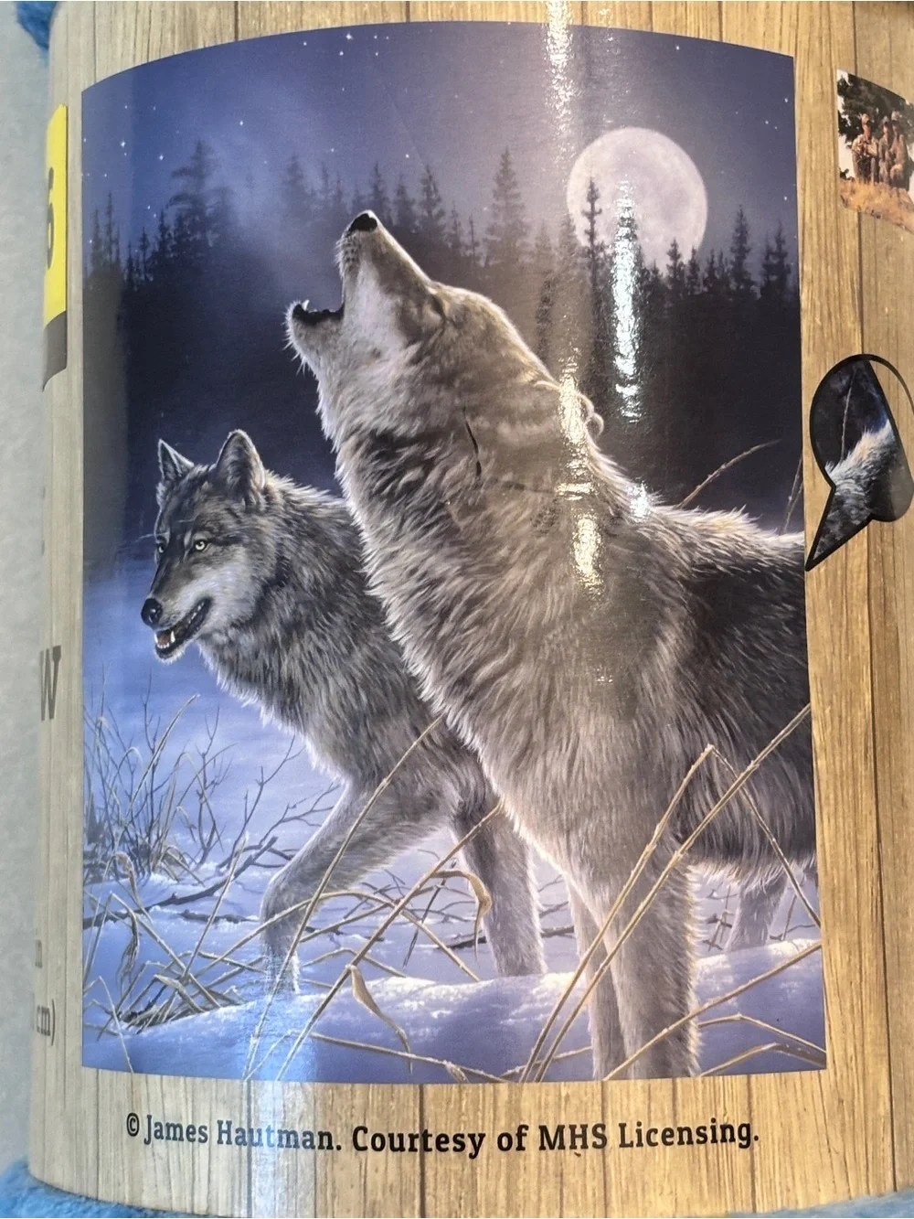 Soft Fleece Wolf Art Throw Blanket 50”x60”